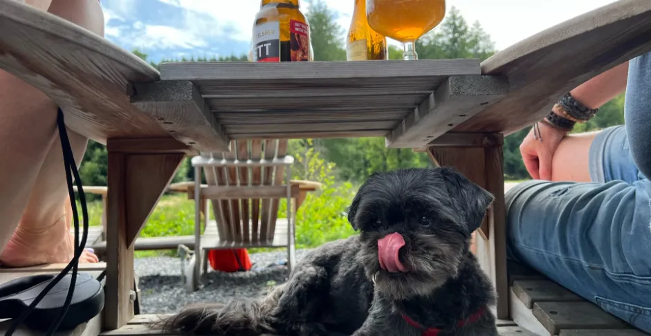 Belgische biertje op terras op camping MAKA