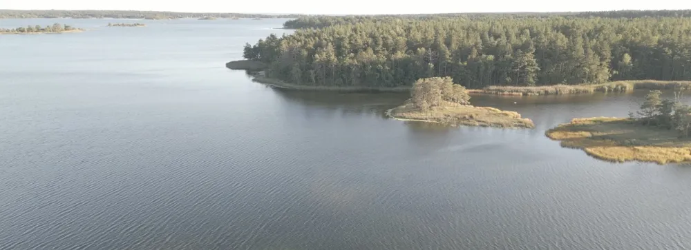 klumpudden wildkampeerplek in zuid zweden