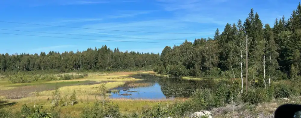 Magische natuur in zuid zweden roadtrip met jeep wrangler