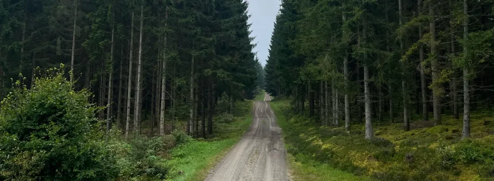 Gravelroads in Zweden, ultieme gevoel van vrijheid met 4x4